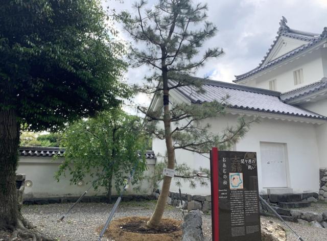 小ネタイメージ