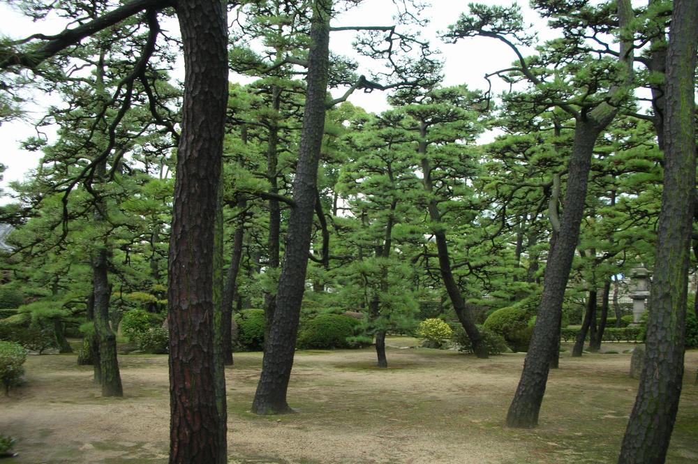 小ネタイメージ
