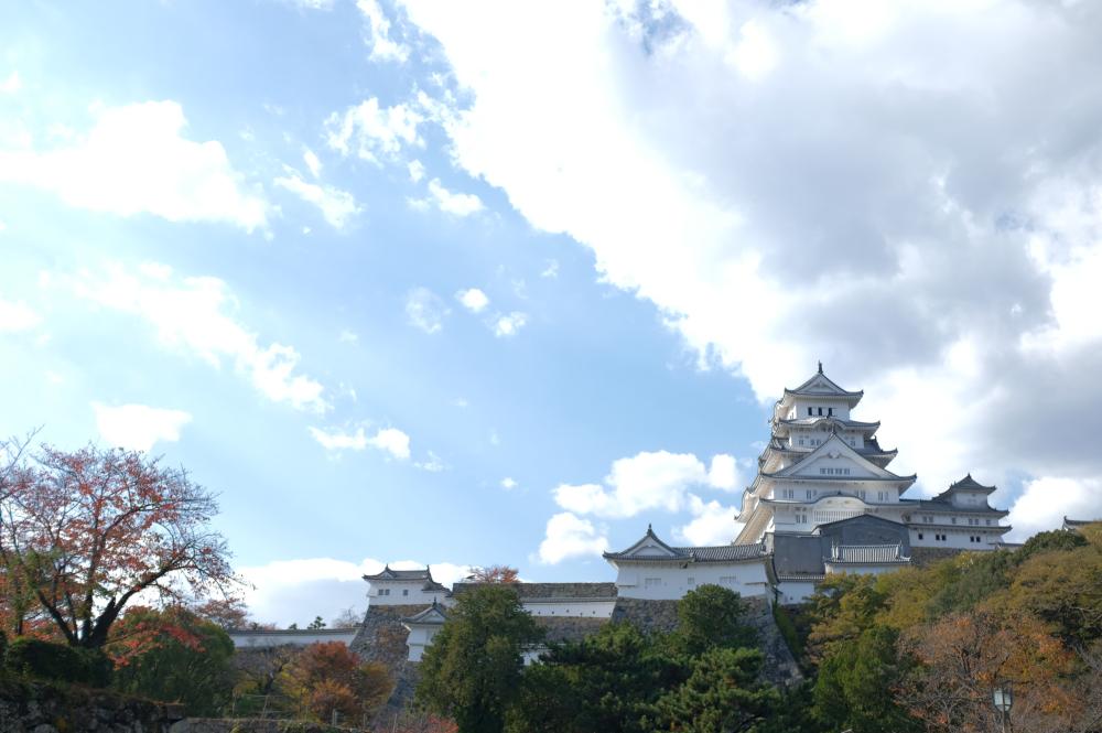 タイトルイメージ