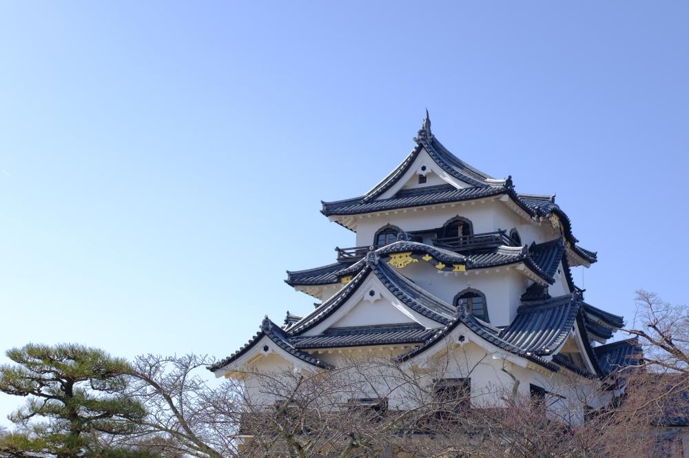 タイトルイメージ